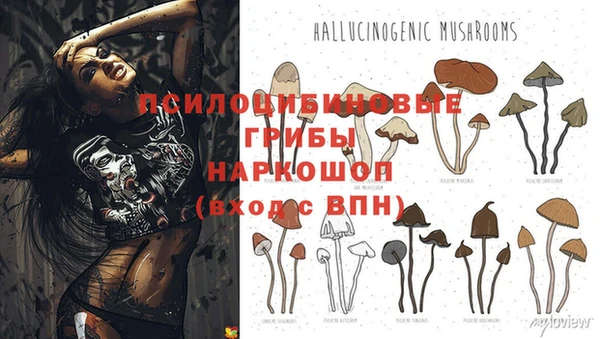 дживик Беломорск