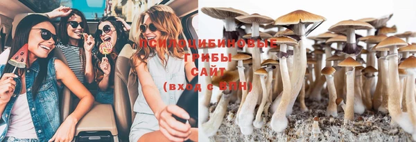 дживик Беломорск