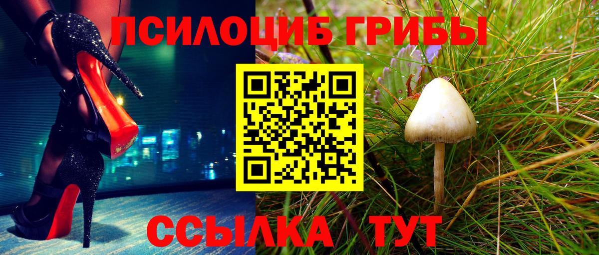 Галлюциногенные грибы GOLDEN TEACHER Саяногорск